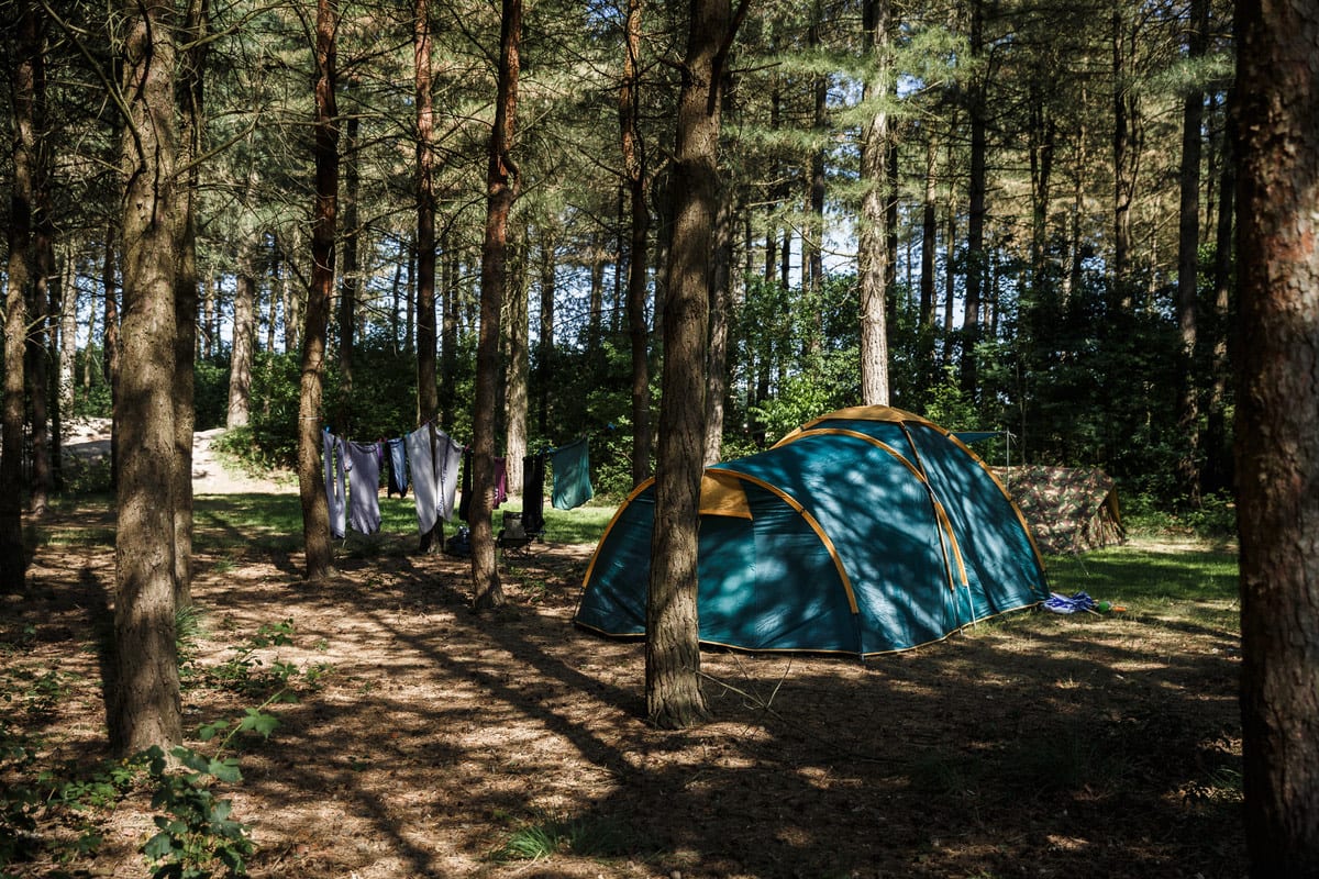 camping Tentkampeerplaats op de Wildenberg