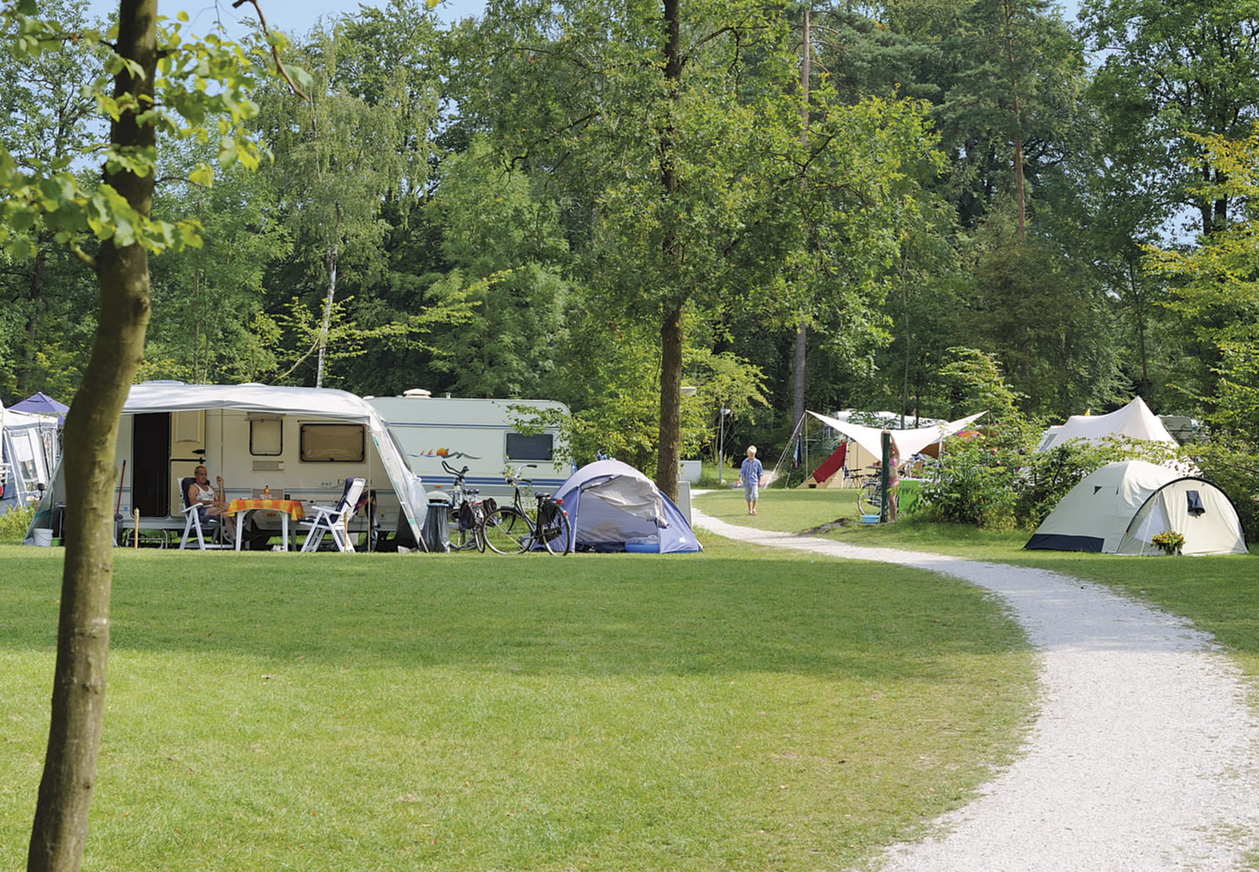 camping RCN het Grote Bos | Kampeerplaats
