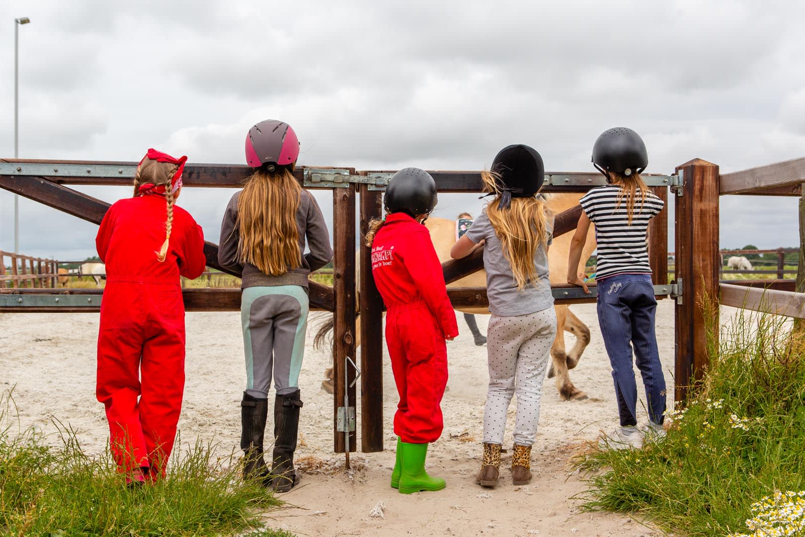 FarmCamps_Fleur_Stables_Noord-Holland_achter_h