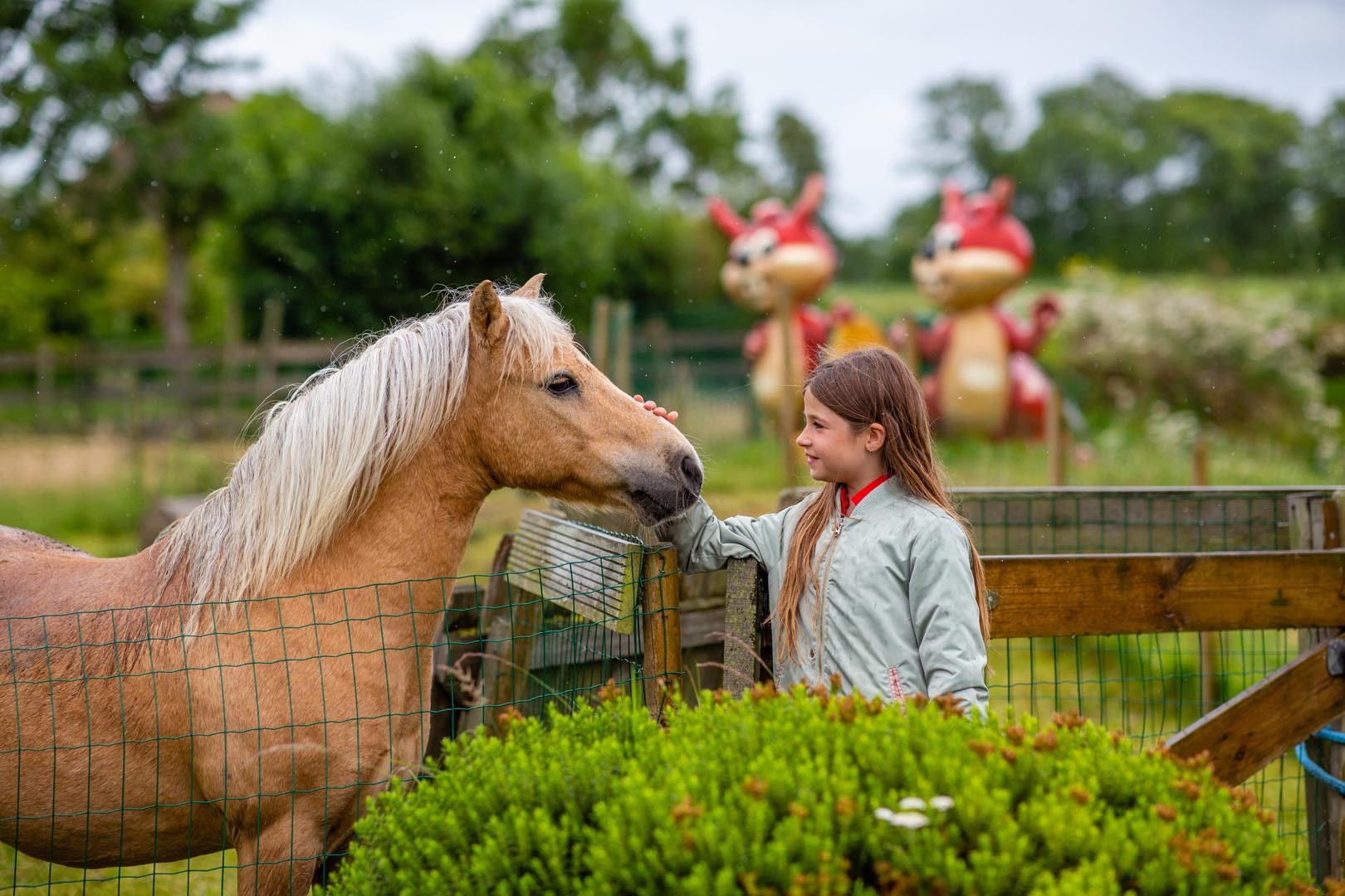 FarmCamps_Fleur_Stables_Noord-Holland_paard_aa