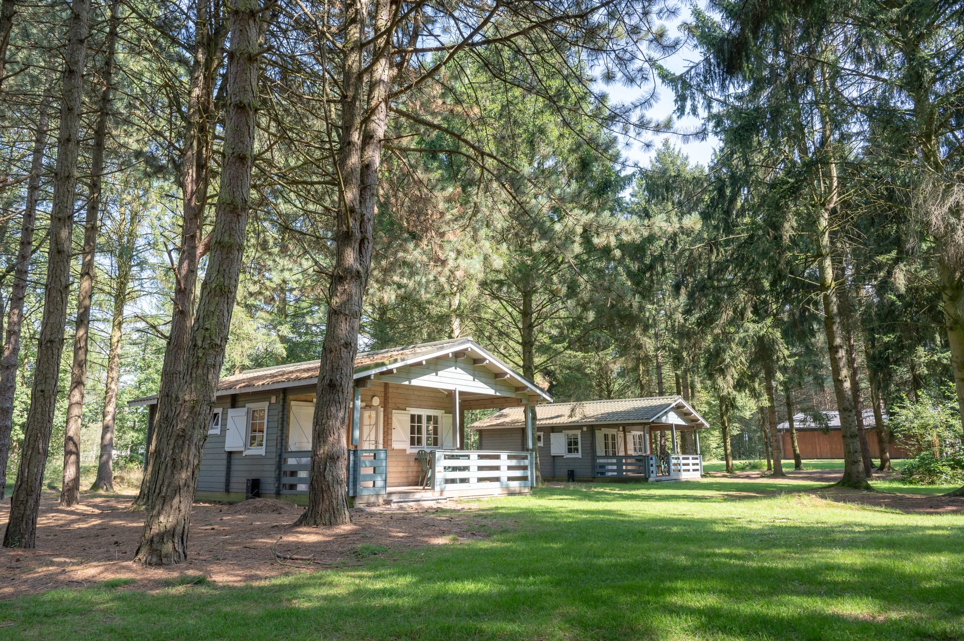 camping Forest lodge