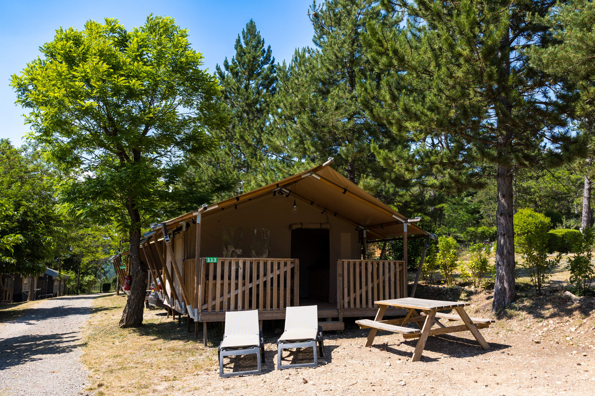 Safaritent Ciboulette