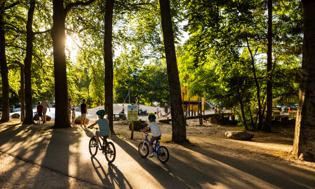 Kindvriendelijk vakantiepark in Utrecht, Nederland - RCN het Grote Bos