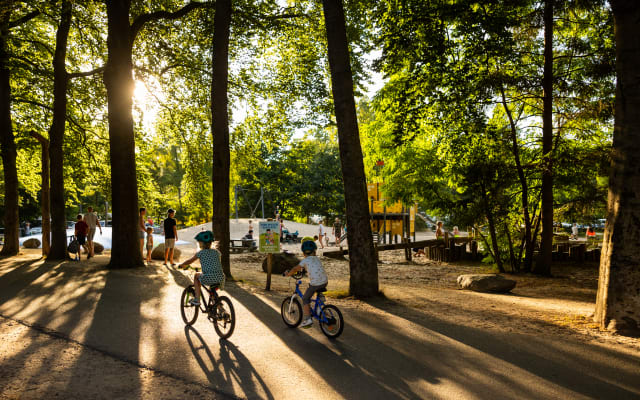 Kindvriendelijk vakantiepark op de Utrechtse Heuvelrug: RCN het Grote Bos in Doorn Kindvriendelijk vakantiepark op de Utrechtse Heuvelrug: RCN het Grote Bos in Doorn