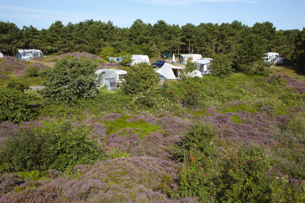 Camping Loodsmansduin, kampeerplaats XL met stroom