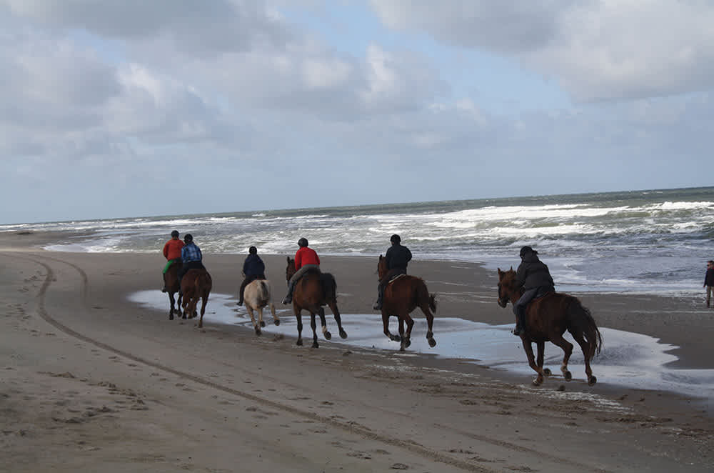 Buitenritten op Texel | Een Texeltip van De Krim Texel