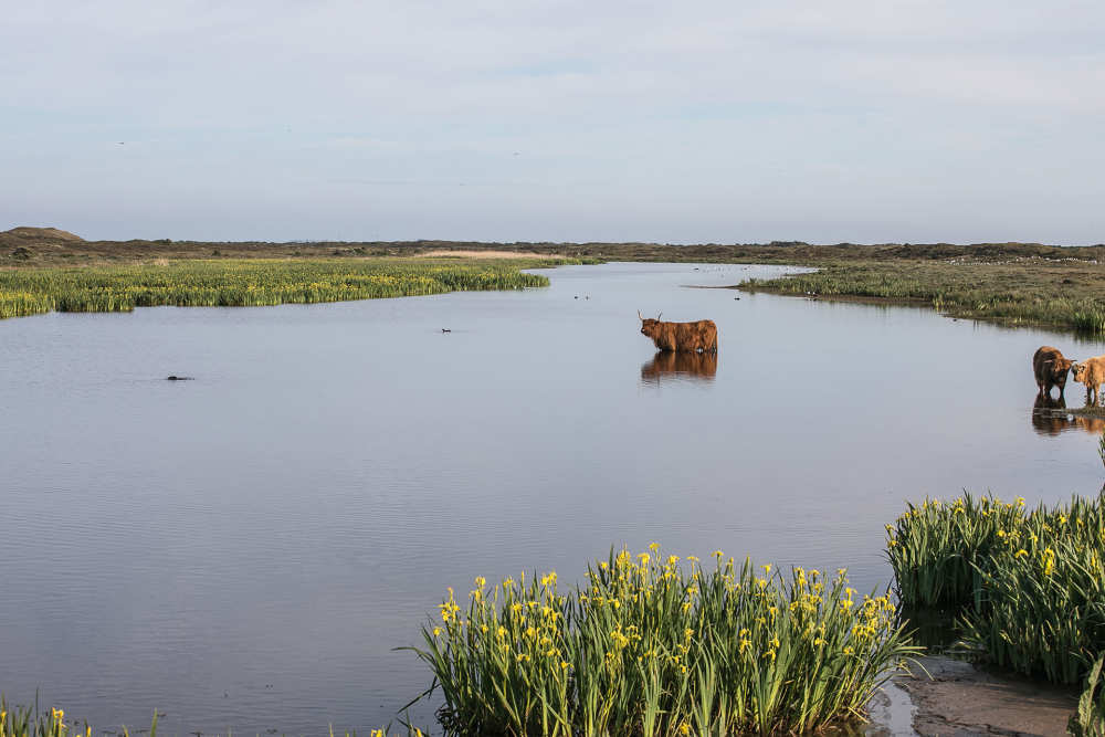 de-geul-landschap