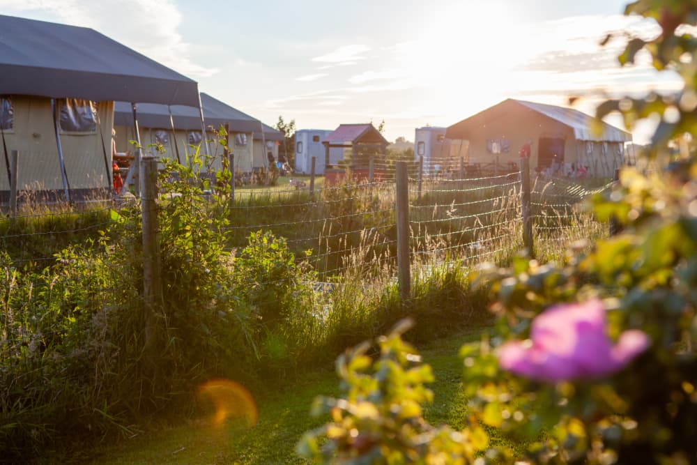 vakantie in de natuur
