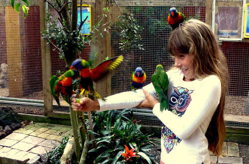 Oosterend, Texelzoo