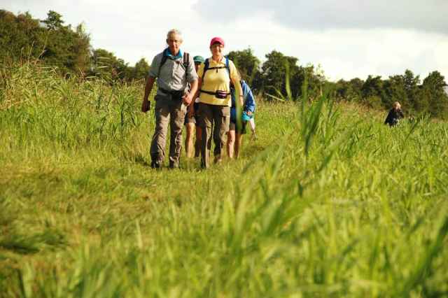 Machen Sie 3 Tage mit und spazieren Sie durch den Nationalpark Weerribben Wieden