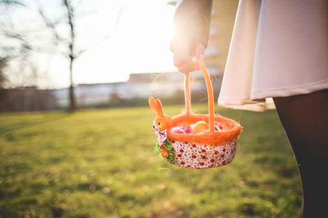  Last Minute Osterferien 2020 in den Niederlanden im Villapark de Weerribben