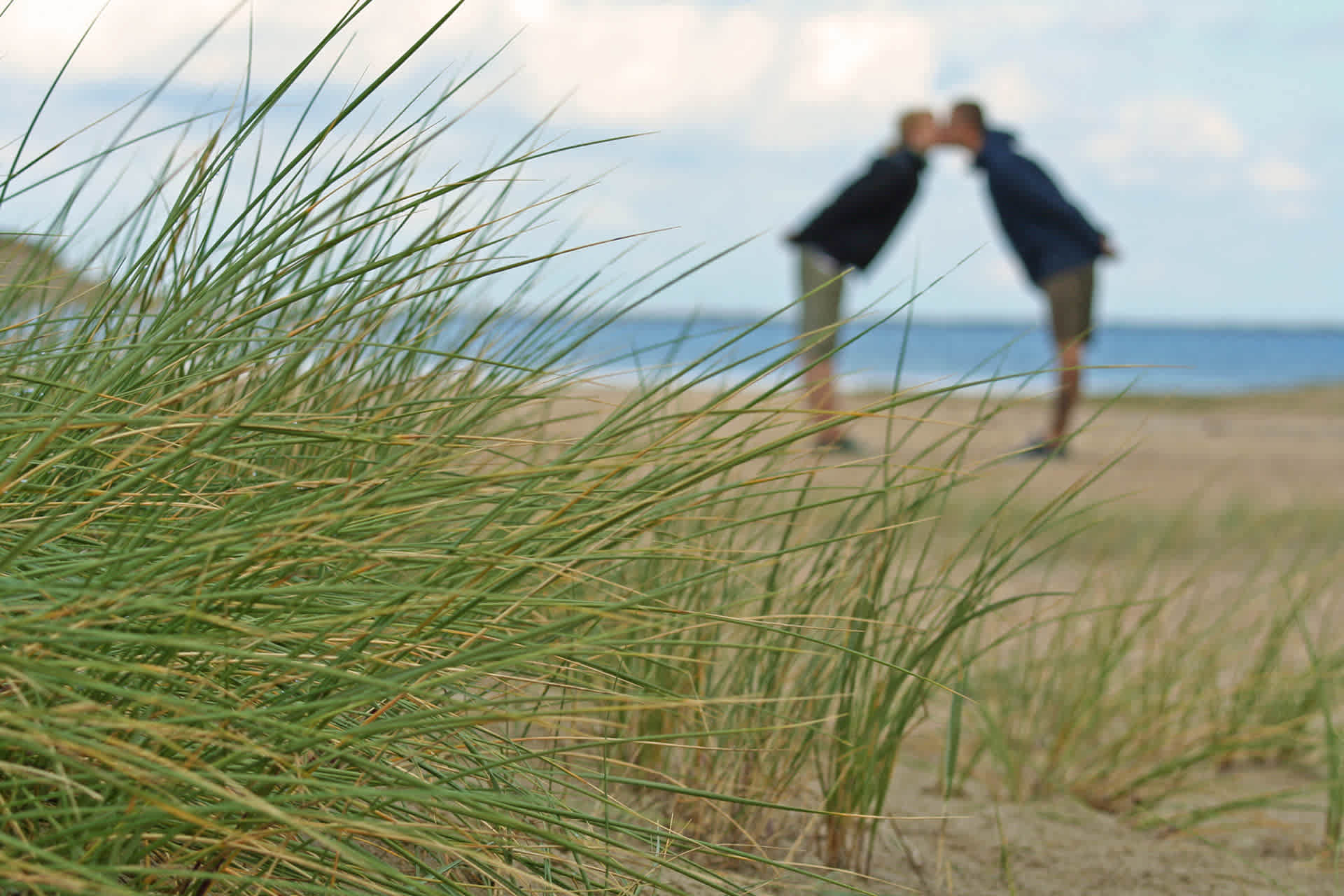 stel-duinen-strand-de-krim-texel