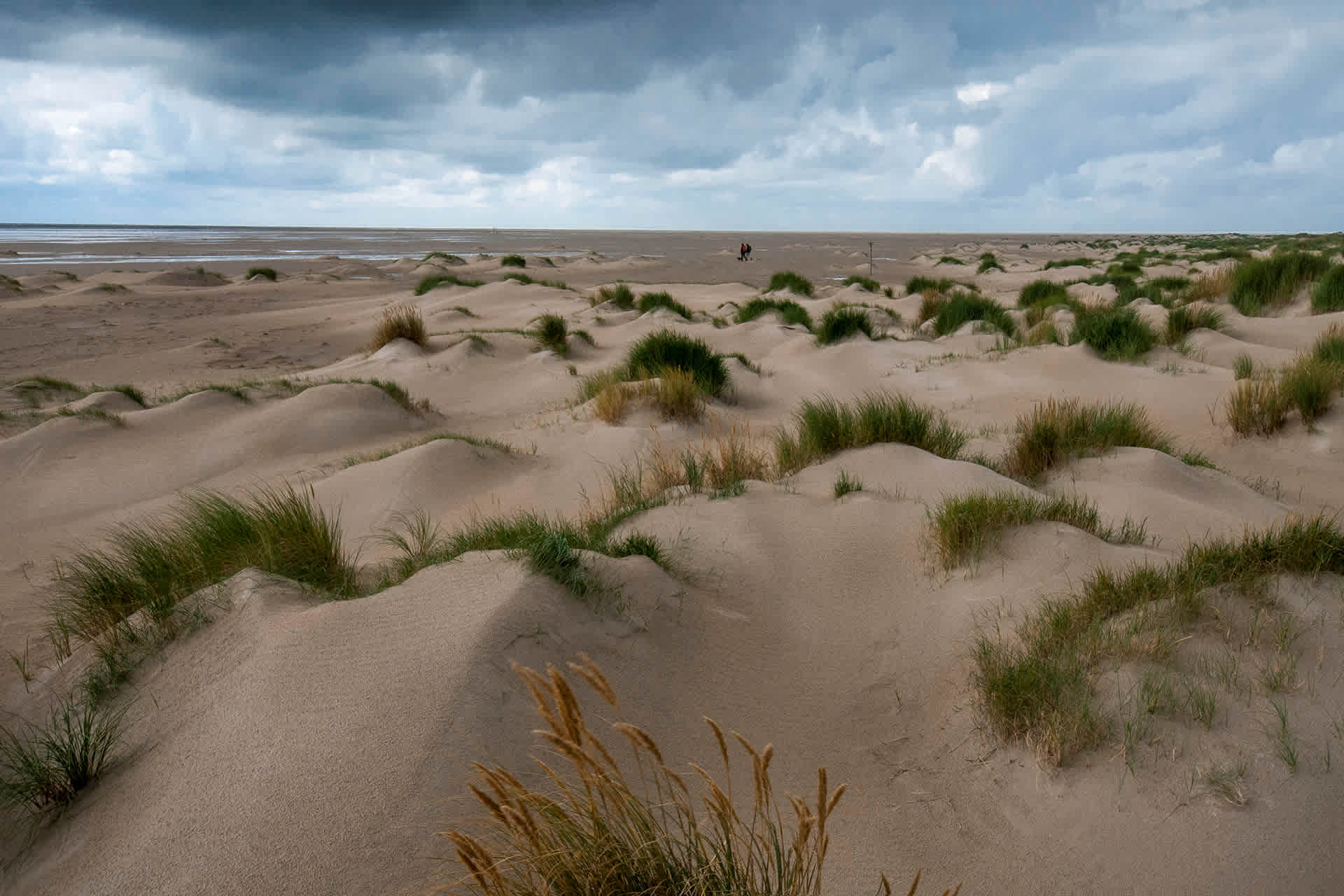 natuur-de-hors-de-krim-texel
