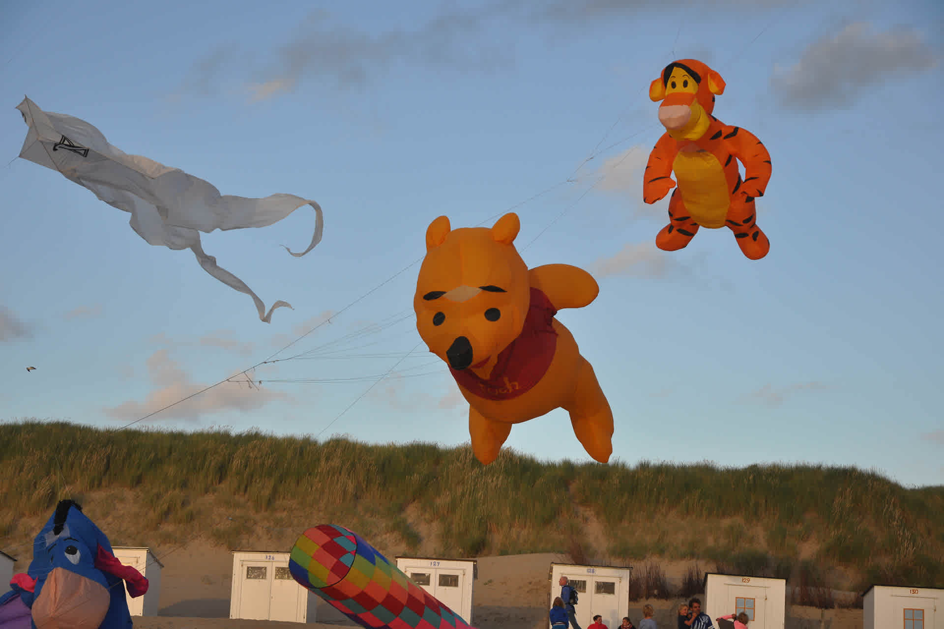 Windfestival