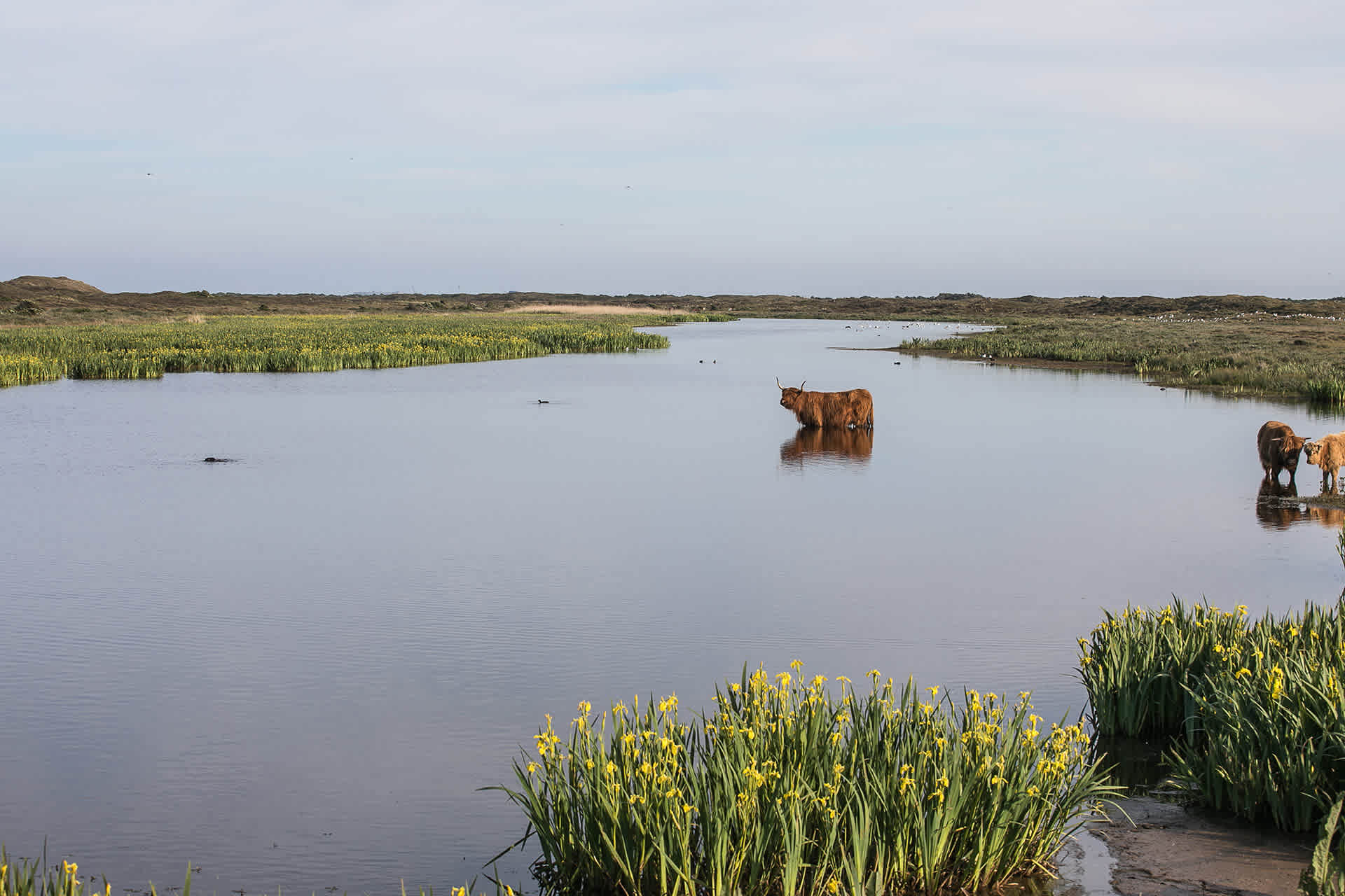 de-geul-landschap