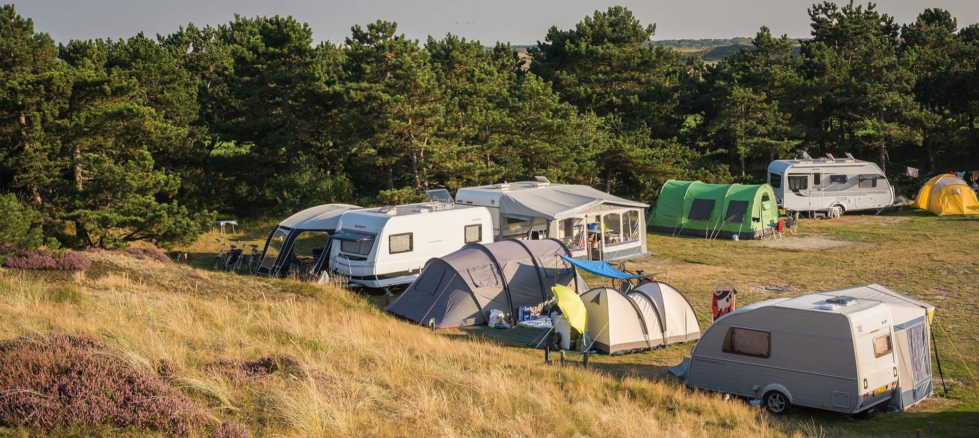 Stellplätze in den Dünen Camping Loodsmansduin