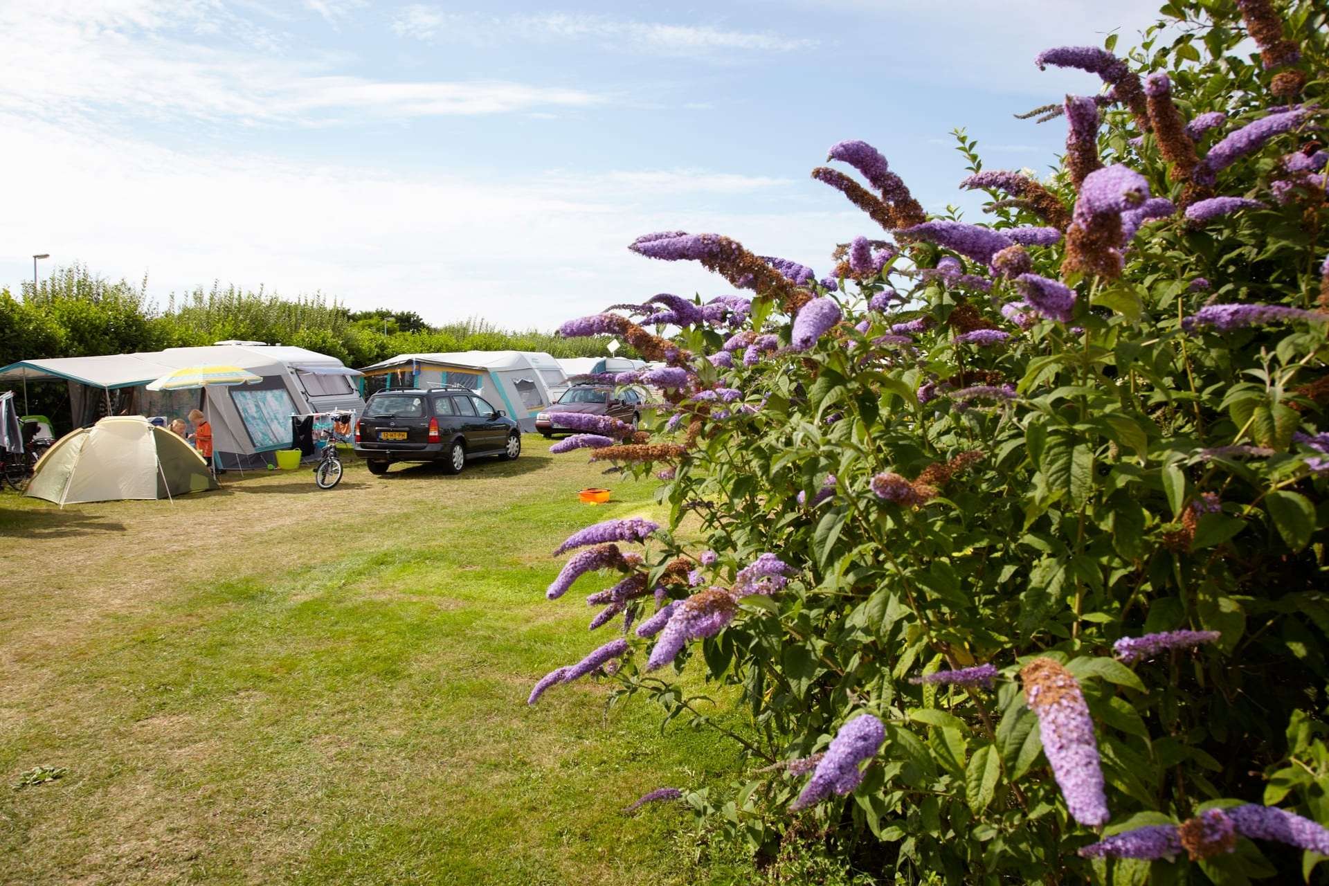 Camping Om de Noord, kampeerplaats comfort