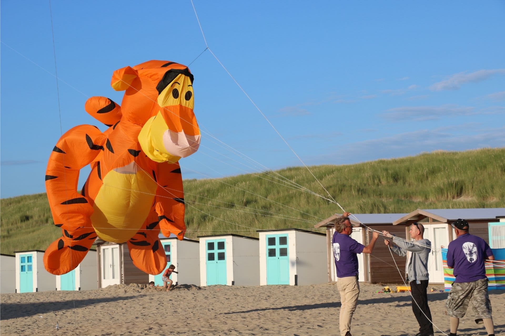 Large tiger kite at the Wind Festival